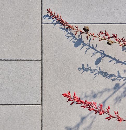 Techo bloc nuestra marca losas gris bloc 6
